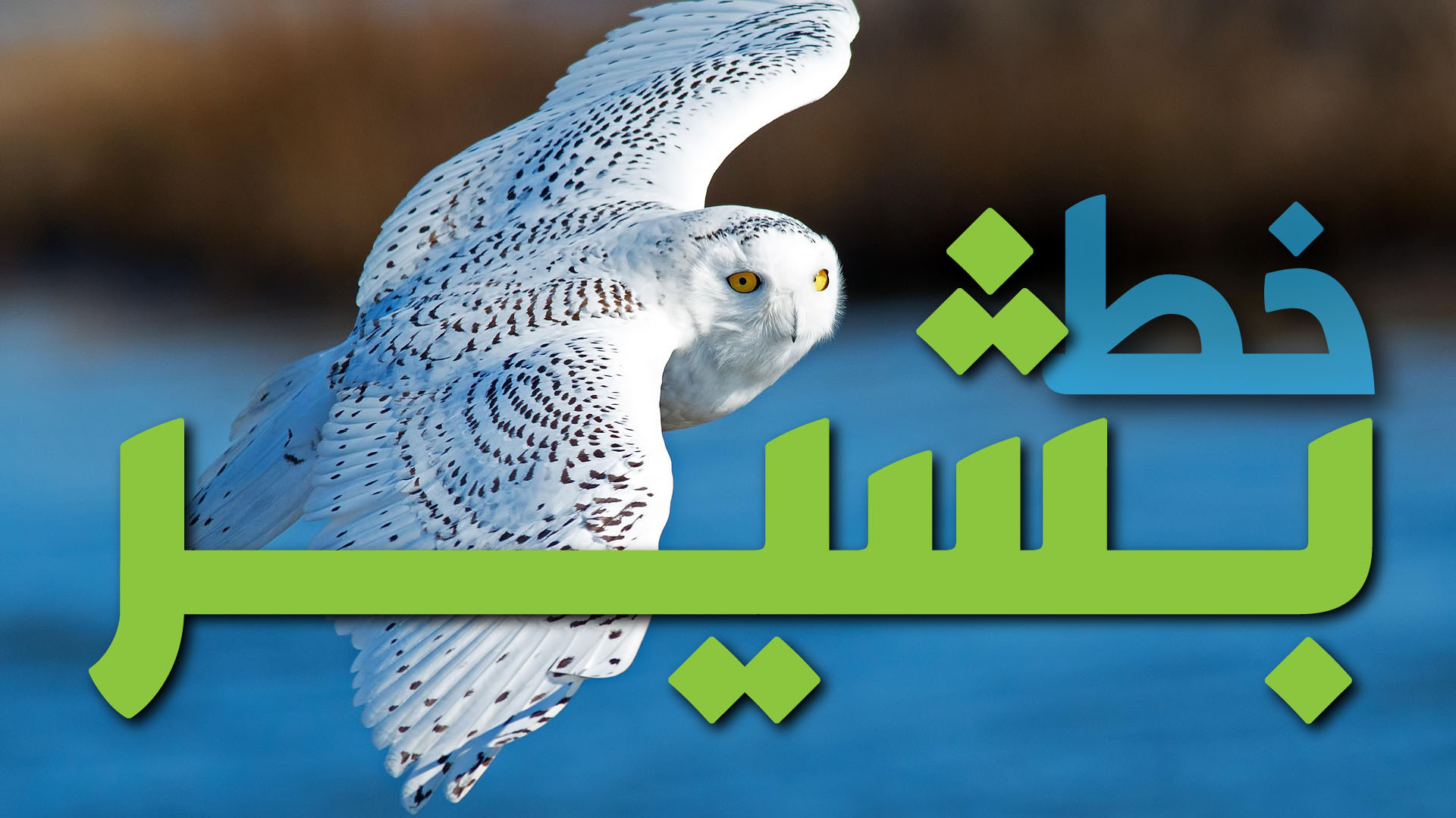 Basheer font